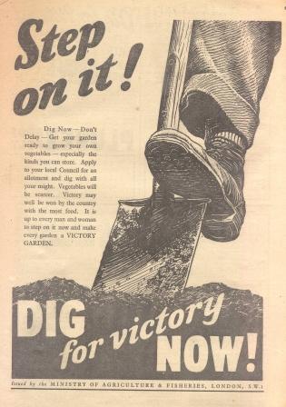 Dig for Victory advert Smallholder Magazine, 1940/41 (World war Zoo gardens 